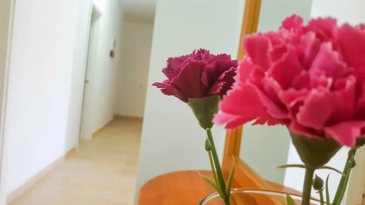 Atico Gran Tarajal Apartment